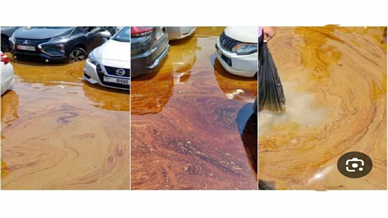 سكان الإمارات يكتشفون خطر إضافي بعد كارثة الفيضان يهدد الحياة والممتلكات في الشوارع .. التفاصيل